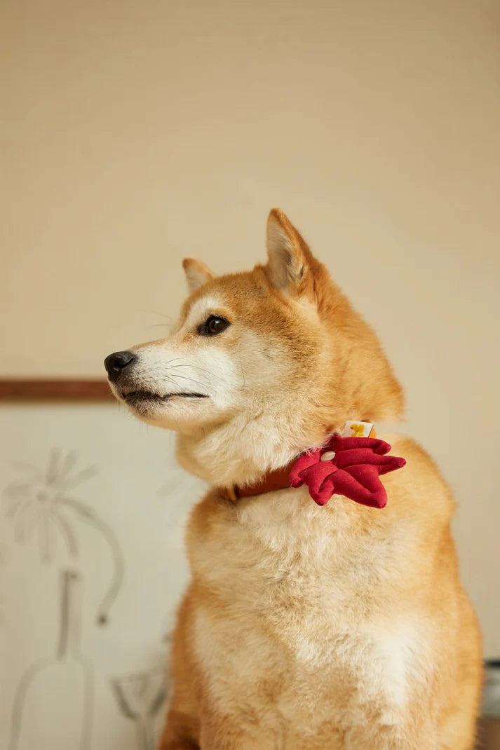 HIKOINU - 嬰兒樹葉款