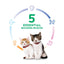 Hills'Science Diet - Kitten with Salmon Cat Wet Food 2.9oz #10806 - SPCA HK