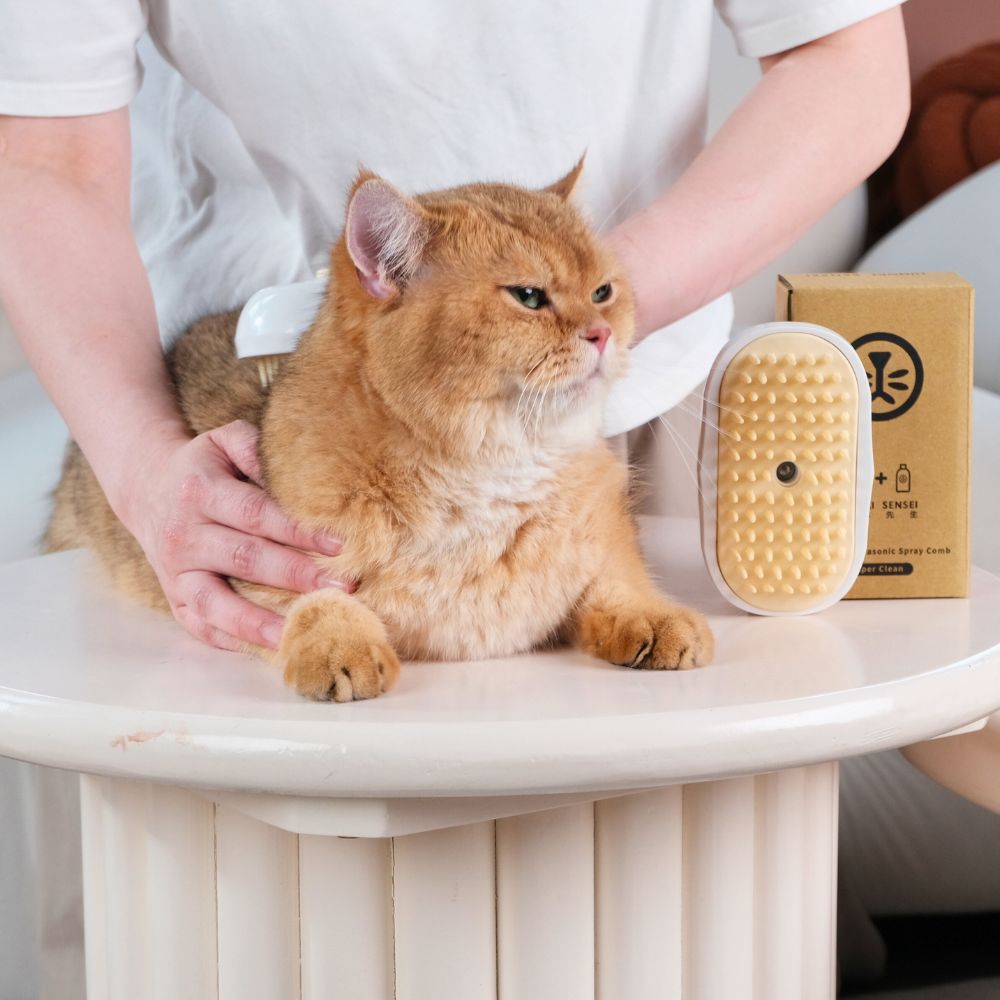 HINOKI SENSEI-Dry bath ultrasonic spray comb