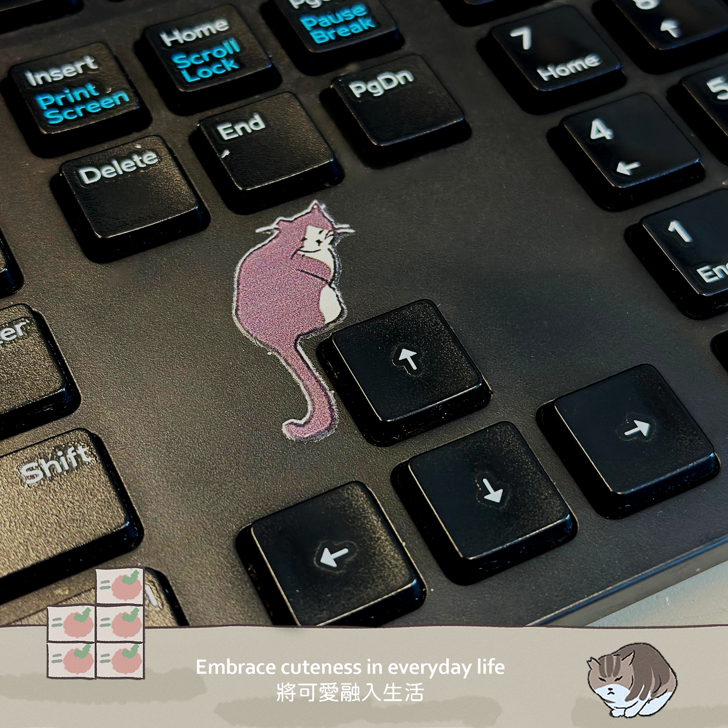 SumMeow In the City - Cats UV stickers