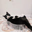 CAT BANG Transparent DDUNDDUNI Cat Nest