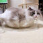 CAT BANG Transparent DDUNDDUNI Cat Nest