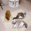 CAT BANG Transparent DDUNDDUNI Cat Nest