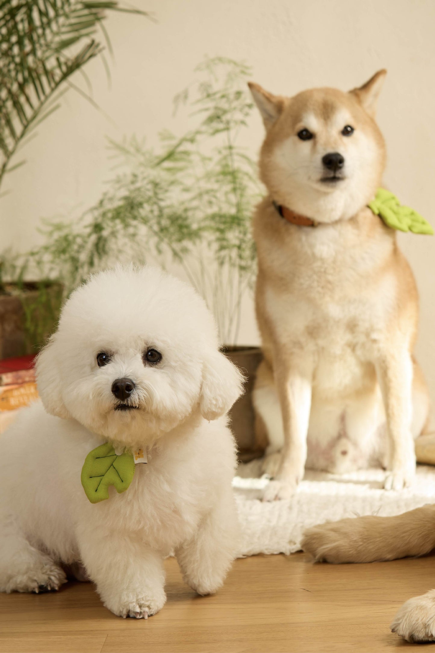 HIKOINU - 嬰兒樹葉款