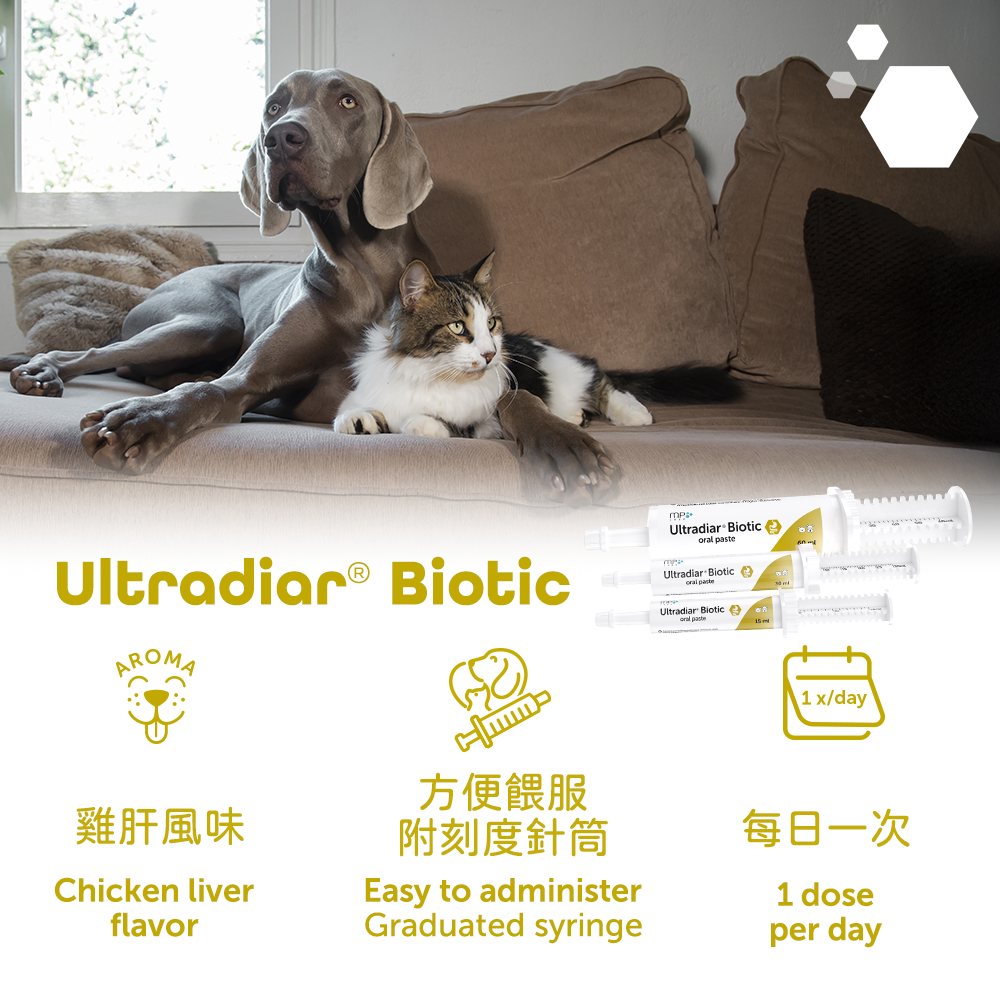 MP Labo - Ultradiar Biotic 腸道微生態口服膏