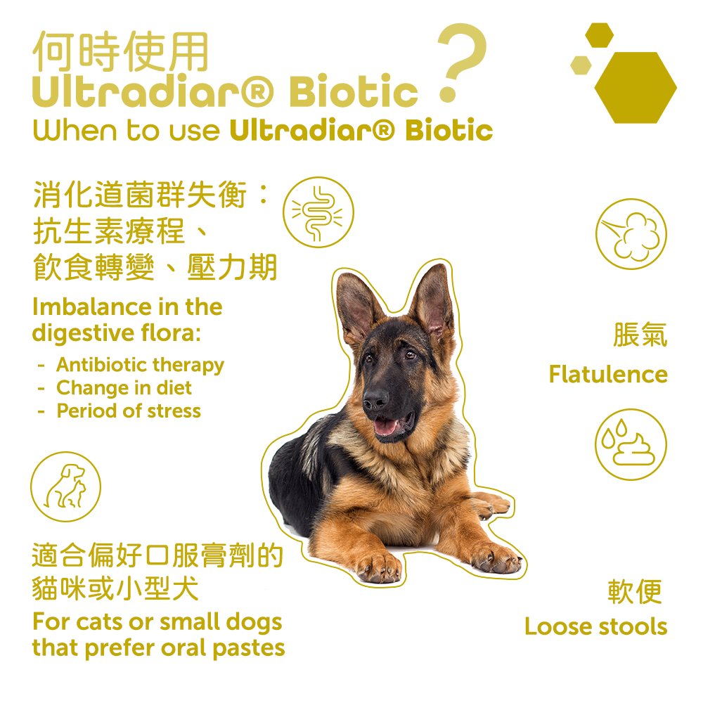 MP Labo - Ultradiar Biotic 腸道微生態口服膏