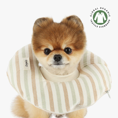 Organic Home Care Recovery Neckcolla| For Post-Surgery / Skin Condition Care