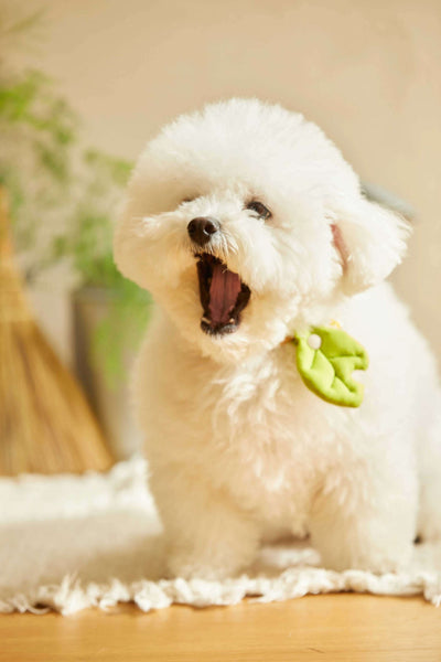 HIKOINU - 嬰兒樹葉款