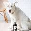 DOGGY-Fresh Shampoo With Oatmeal 500ml #DP-6488