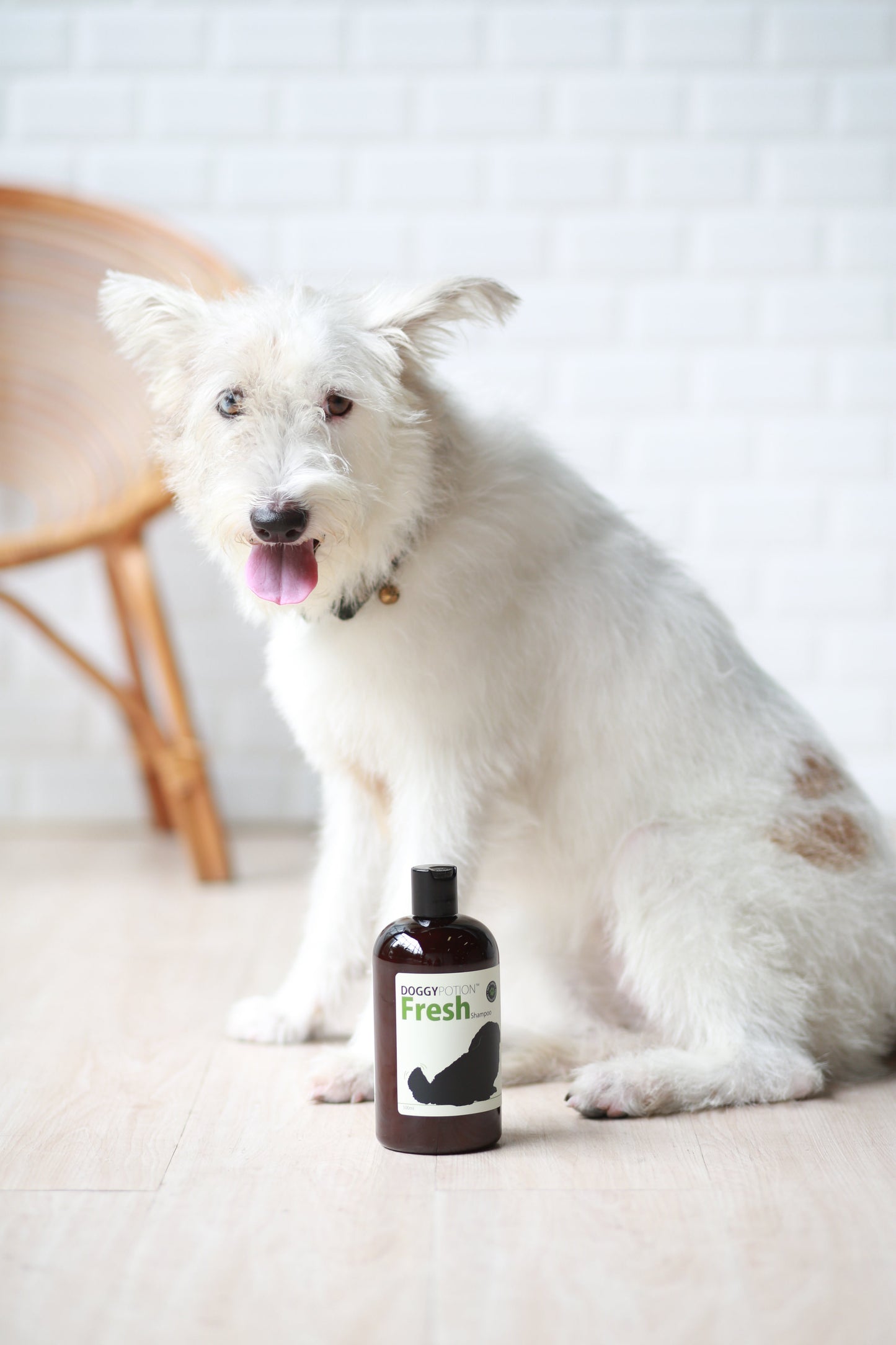 DOGGY-Fresh Shampoo With Oatmeal 500ml #DP-6488