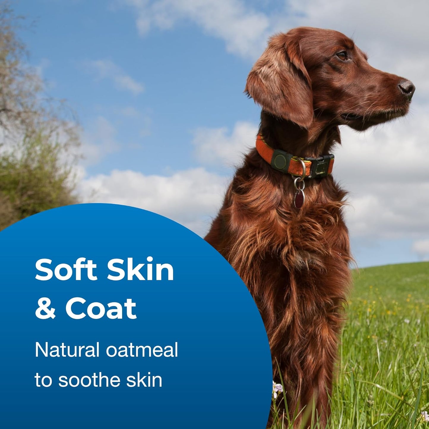 Fresh n Clean Oatmeal & Baking Soda Shampoo 18oz - SPCA HK