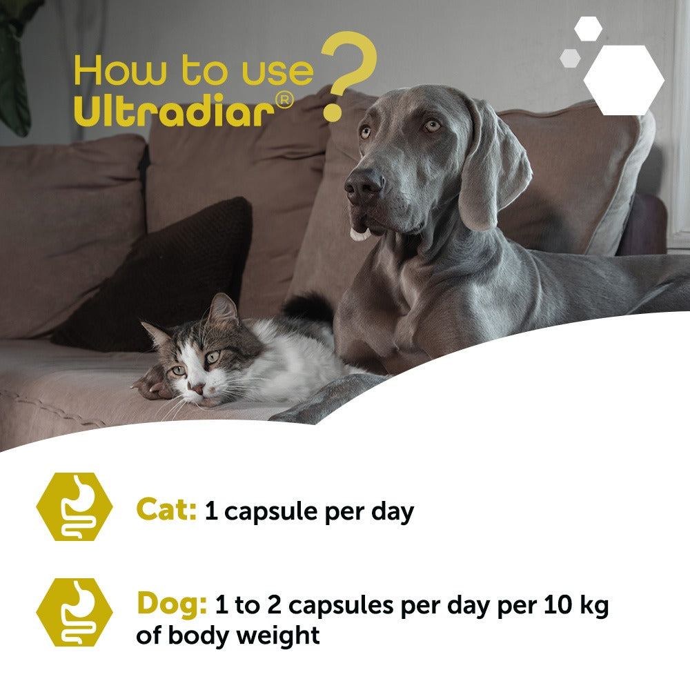 MP Labo Ultradiar® 整腸止瀉膠囊 (20粒) 貓狗適用