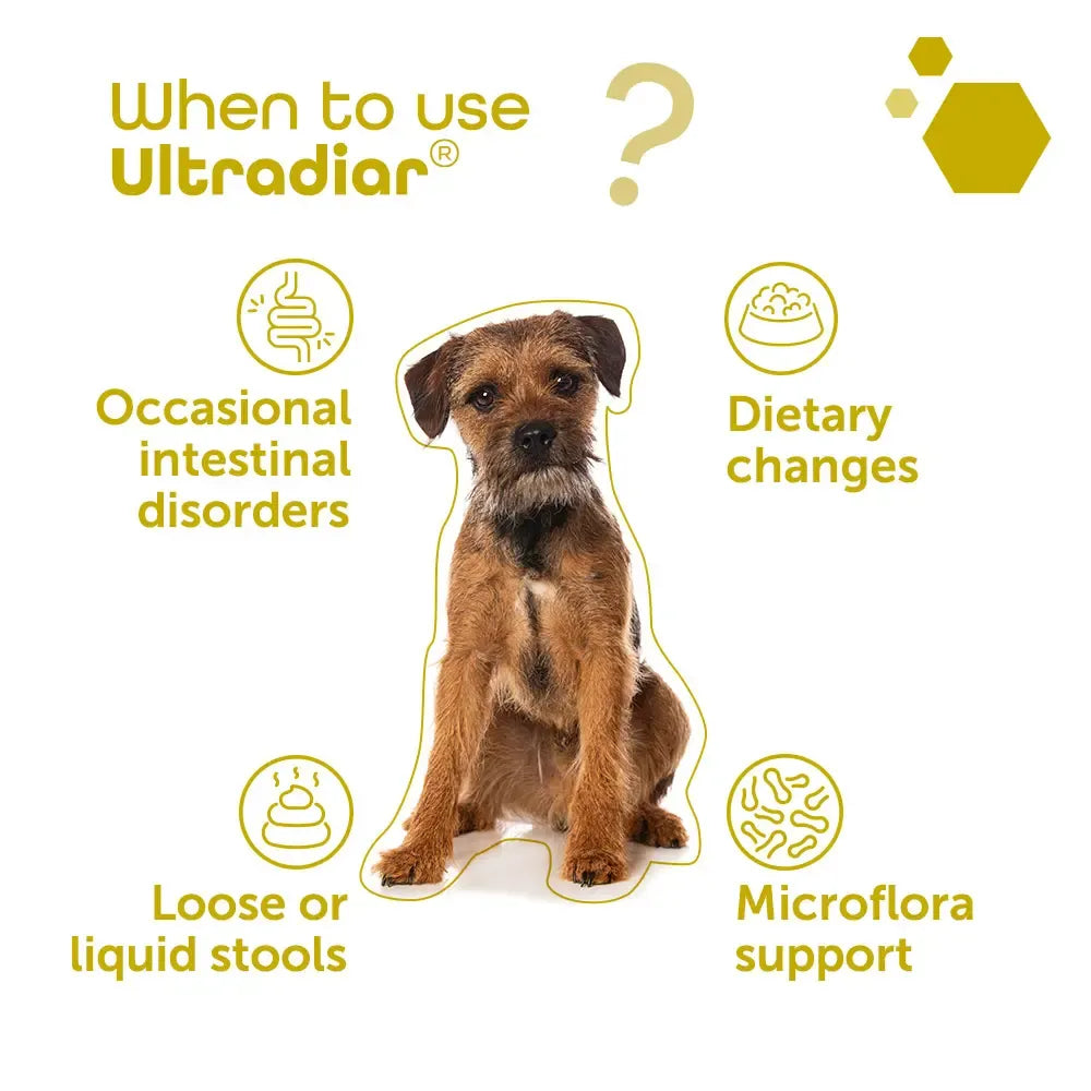MP Labo Ultradiar® 整腸止瀉膠囊 (20粒) 貓狗適用
