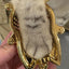 CATBANG - Mini Sokuri Keyring