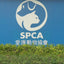 Woof² Meow² x SPCA 寵物玩具盲盒