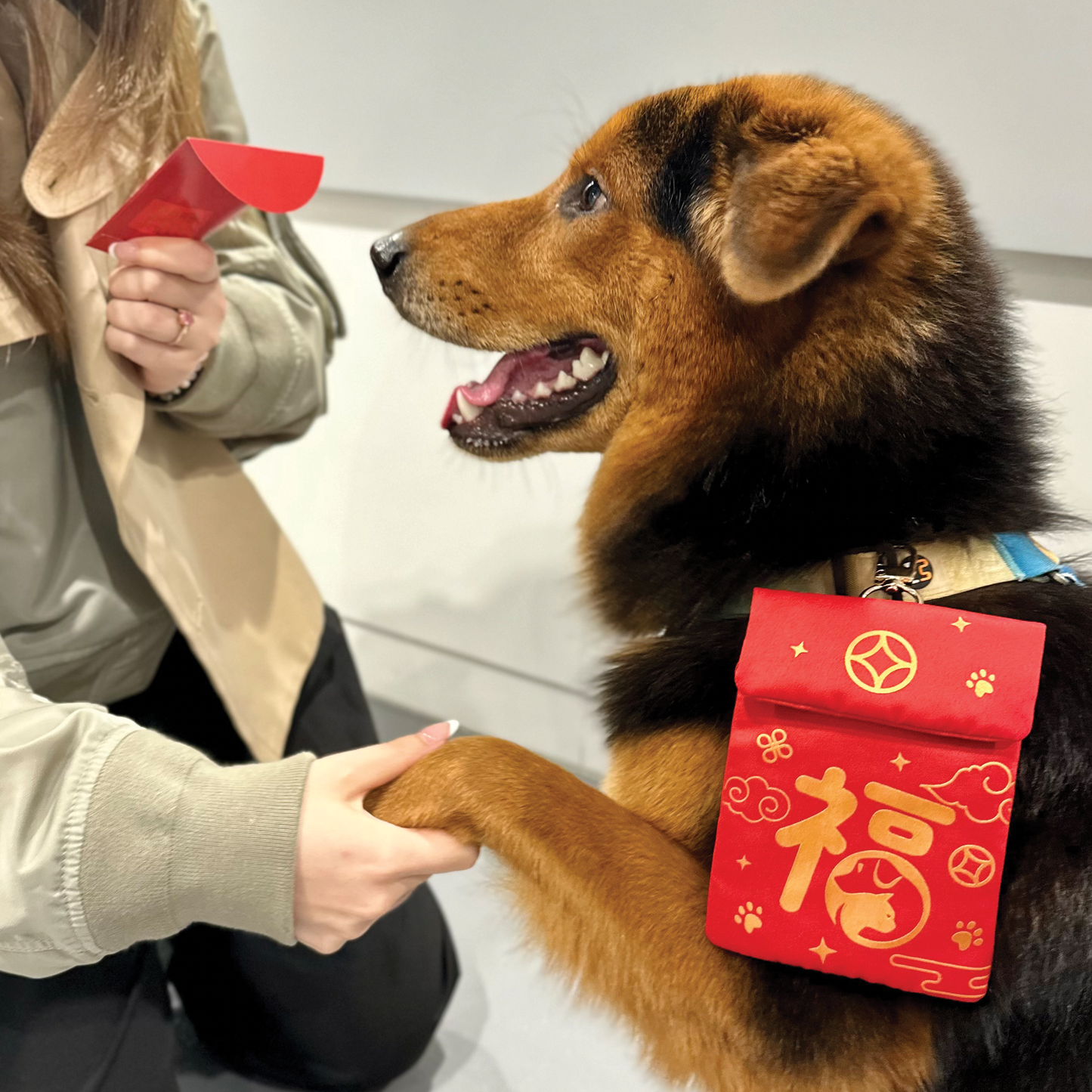 Pet Red Packet Pouch