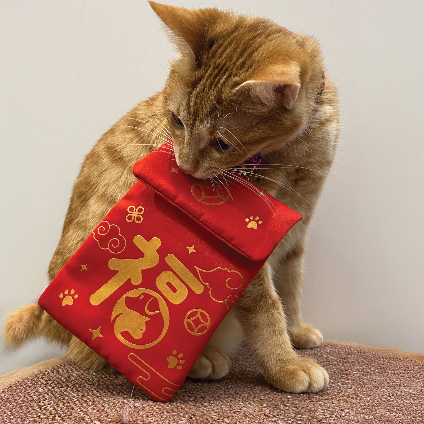 Pet Red Packet Pouch